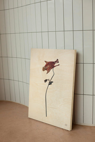 Field Journal Entry II Color Print