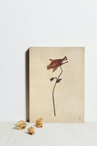 Field Journal Entry II Color Print