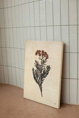 Field Journal Entry III Color Print