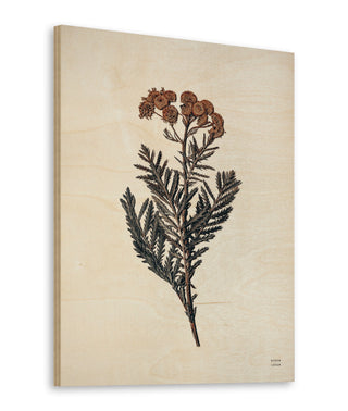 Field Journal Entry III Color Print