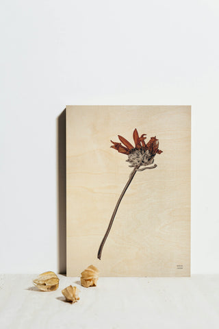 Field Journal Entry IV Color Print