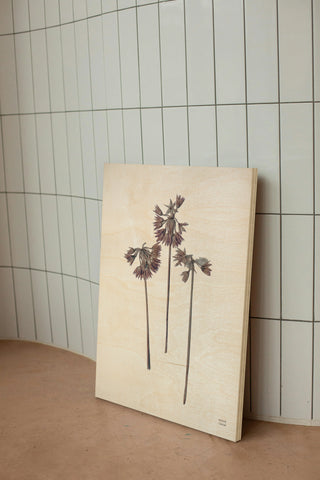 Field Journal Entry V Color Print