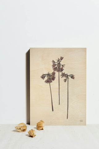 Field Journal Entry V Color Print