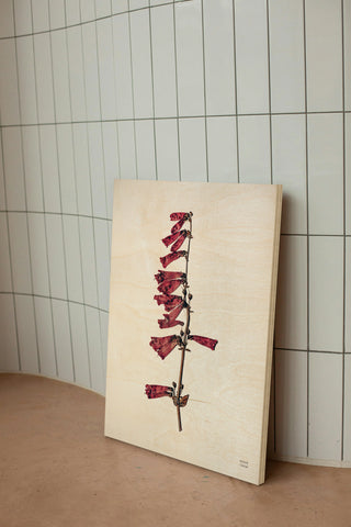 Field Journal Entry VII Color Print