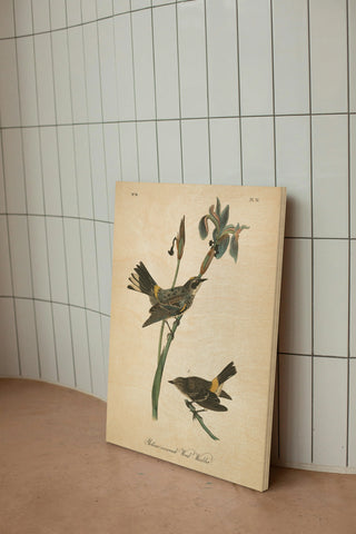 Vintage Warbler I Print