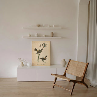 Vintage Warbler I Print