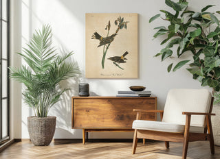 Vintage Warbler I Print