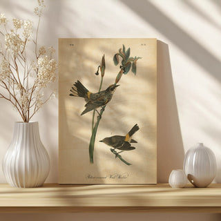 Vintage Warbler I Print
