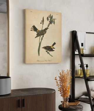 Vintage Warbler I Print