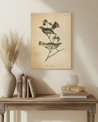 Vintage Warbler II Print