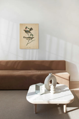 Vintage Warbler II Print