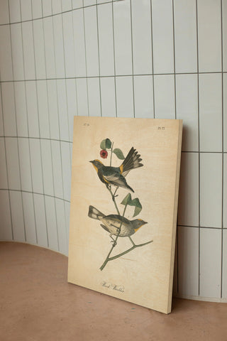 Vintage Warbler II Print
