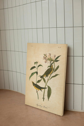 Vintage Warbler III Print
