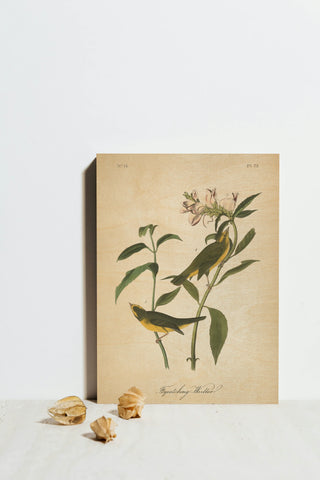 Vintage Warbler III Print