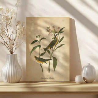 Vintage Warbler III Print