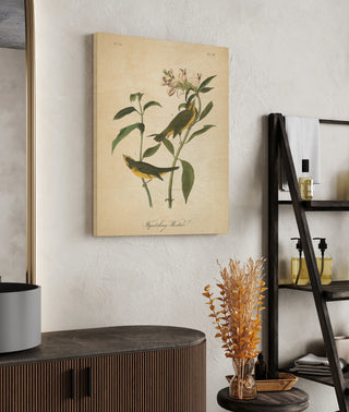 Vintage Warbler III Print