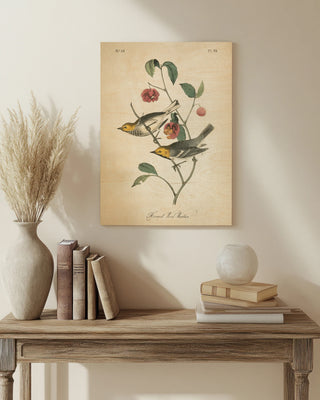 Vintage Warbler IV Print
