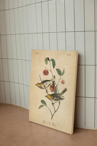 Vintage Warbler IV Print