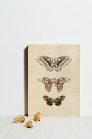 Beauty of the Forest I Neutral Print