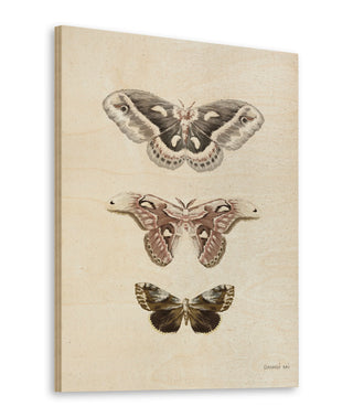 Beauty of the Forest I Neutral Print