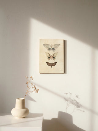Beauty of the Forest II Neutral Print