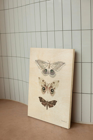 Beauty of the Forest II Neutral Print