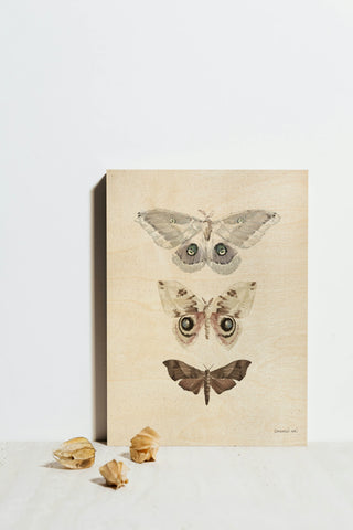 Beauty of the Forest II Neutral Print