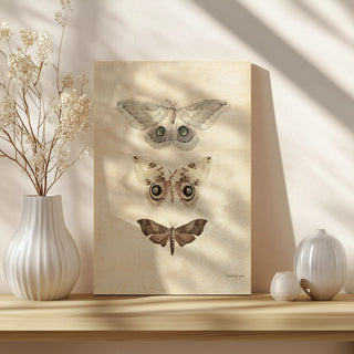 Beauty of the Forest II Neutral Print