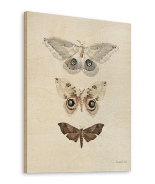 Beauty of the Forest II Neutral Print