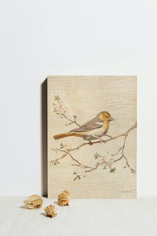 Northern Oriole Flipped Vintage Crop Print