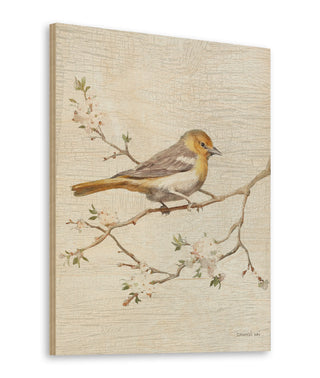 Northern Oriole Flipped Vintage Crop Print