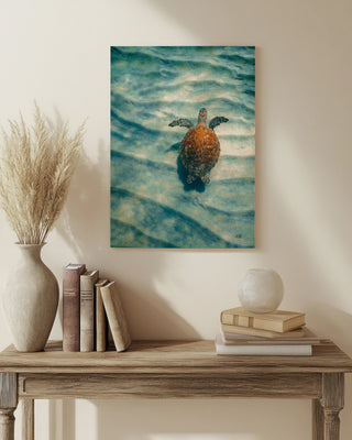 Sandbar Sea Turtle I Print