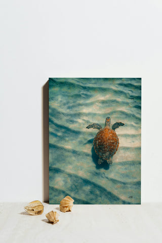 Sandbar Sea Turtle I Print