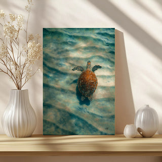 Sandbar Sea Turtle I Print