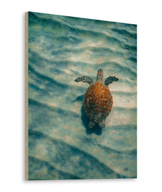 Sandbar Sea Turtle I Print