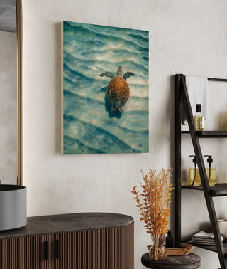 Sandbar Sea Turtle I Print