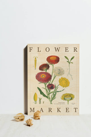 Flower Market Chart I Print