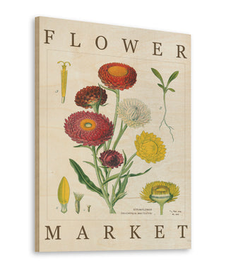 Flower Market Chart I Print