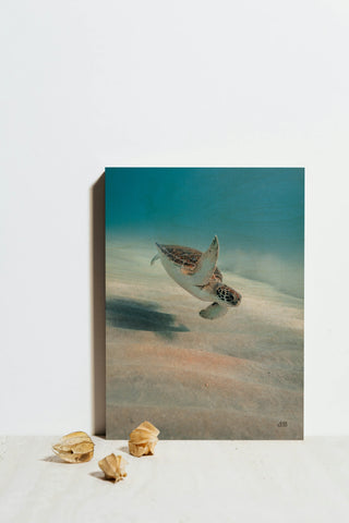 Wave Hello Print