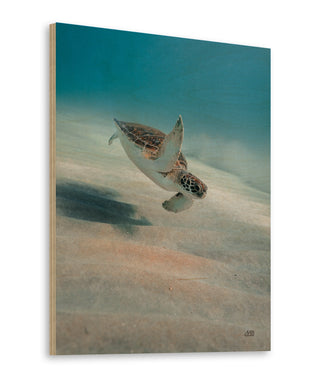 Wave Hello Print