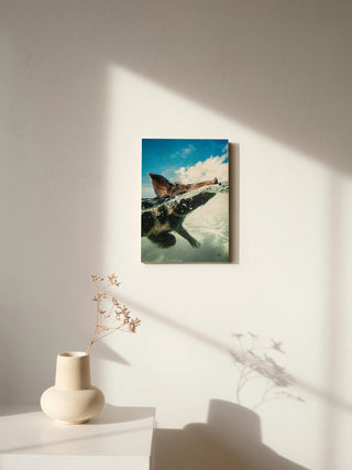 Swimming Pig Print