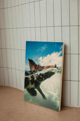 Swimming Pig Print