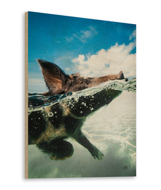 Swimming Pig Print