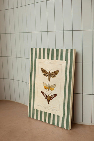 Vintage Moths Stripe I Print