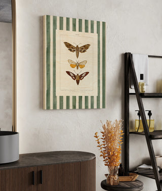 Vintage Moths Stripe I Print