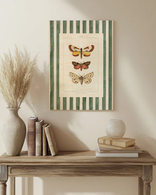 Vintage Moths Stripe II Print