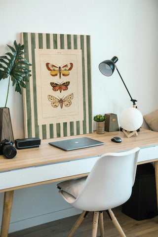 Vintage Moths Stripe II Print