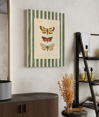 Vintage Moths Stripe II Print