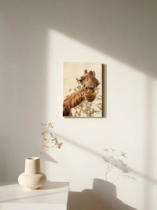Funny Face I Print