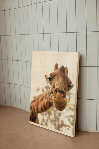 Funny Face I Print